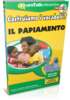 Impara Papiamento - Vocabulary Builder Papiamento